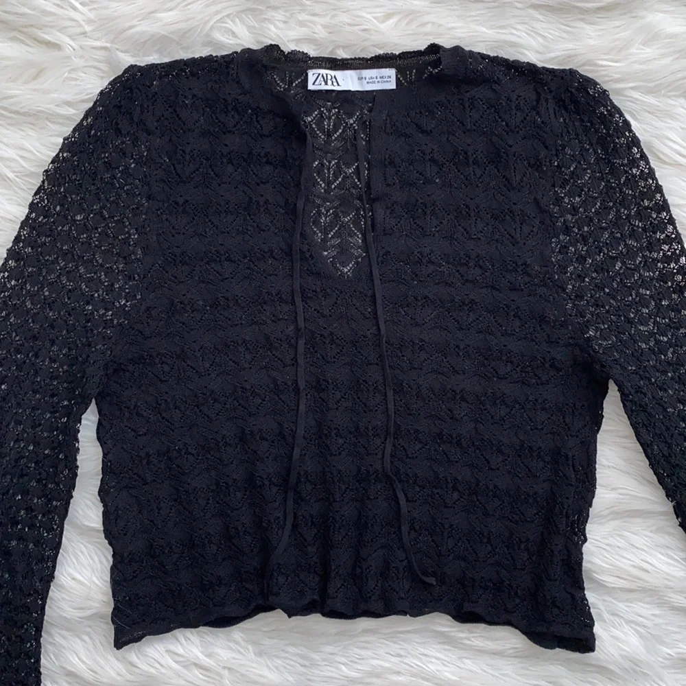 Zara | Sheer Knit Long Sleeve